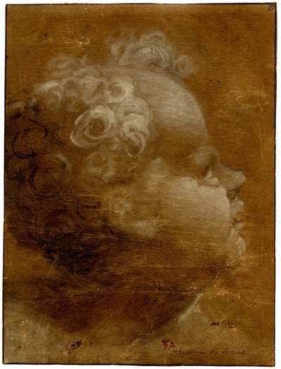 Kopf eines Kindes, das nach oben schaut, im Profil nach rechts, Pinselzeichnung in graubraun und weiß, 1528 von Domenico Beccafumi