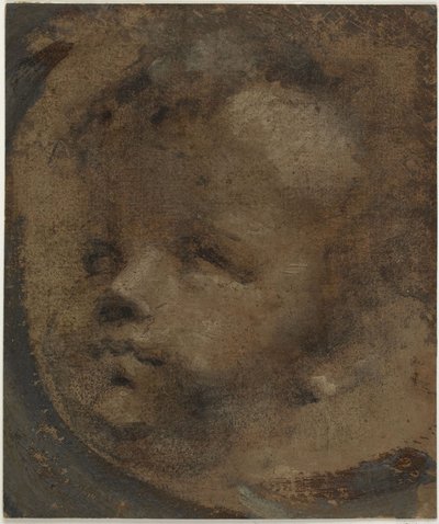 Kopf eines Putto von Domenico Beccafumi