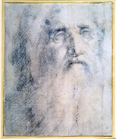 Studie eines alten Mannes mit Bart, ca. 1535 von Domenico Beccafumi