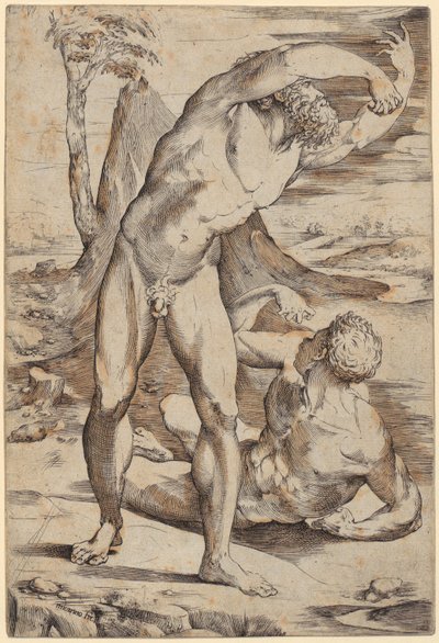 Zwei nackte Männer in einer Landschaft von Domenico Beccafumi