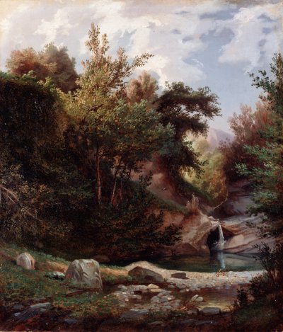 Landschaft der Natur, Unterholz und Bach mit Wasserfall von Domenico Cambiaso