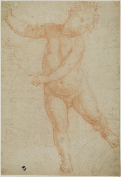 Putto auf rechtem Bein balancierend (recto); Skizze eines drapierten Arms (verso) von Domenico Cresti