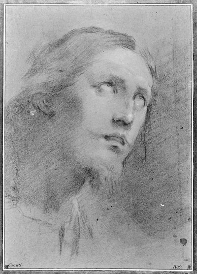 Kopf von Christus, Dreiviertelansicht rechts von Domenico Maria Canuti