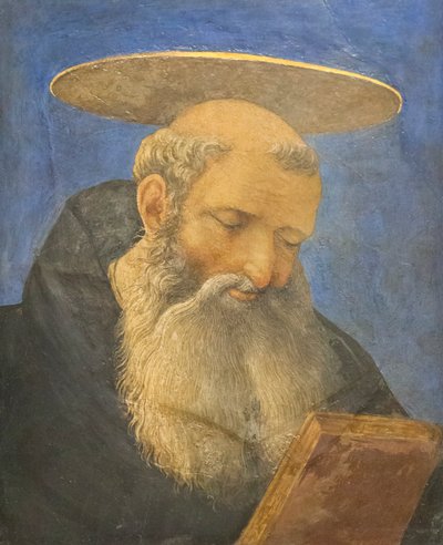 Kopf eines tonsurierten, bärtigen Heiligen, ca. 1440-44 von Domenico Veneziano