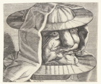 Ein grotesker Kopf mit Helm im Stil von Arcimboldo von Dominicus Custos