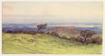 Poole Harbour von der Isle of Purbeck von Donald (after) Maxwell