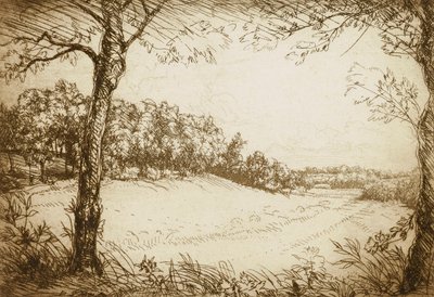 Sommermorgen in Tennessee von Donald Shaw MacLaughlan