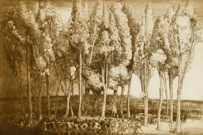 Der Tanz des Frühlings von Donald Shaw MacLaughlan