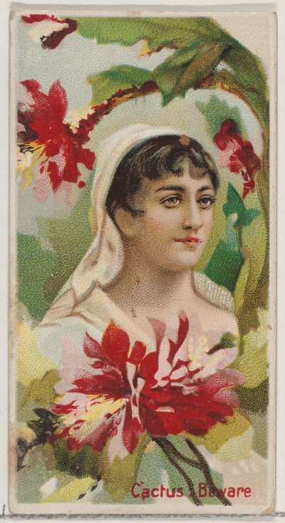 Kaktus: Vorsicht, aus der Serie Blumenpracht und Blumensprache N75 für Duke (1892) von Donaldson Brothers