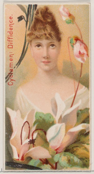 Alpenveilchen: Zurückhaltung, aus der Serie Blumen-Schönheiten und Sprache der Blumen N75 für Du von Donaldson Brothers