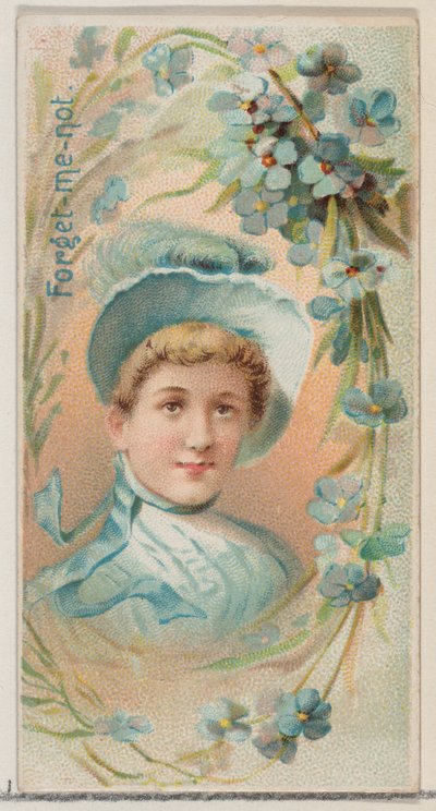 Vergissmeinnicht, aus der Serie Blumenpracht und Blumensprache N75 für Duke, 1892 von Donaldson Brothers