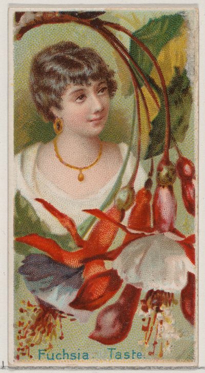 Fuchsie: Geschmack, aus der Serie Floral Beauties and Language of Flowers N75 für Duke bra..., 1892 von Donaldson Brothers