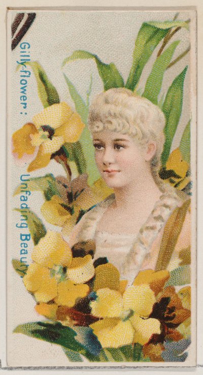 Nelke: Unvergängliche Schönheit, aus der Serie Blumenpracht und Blumensprache N7 von Donaldson Brothers