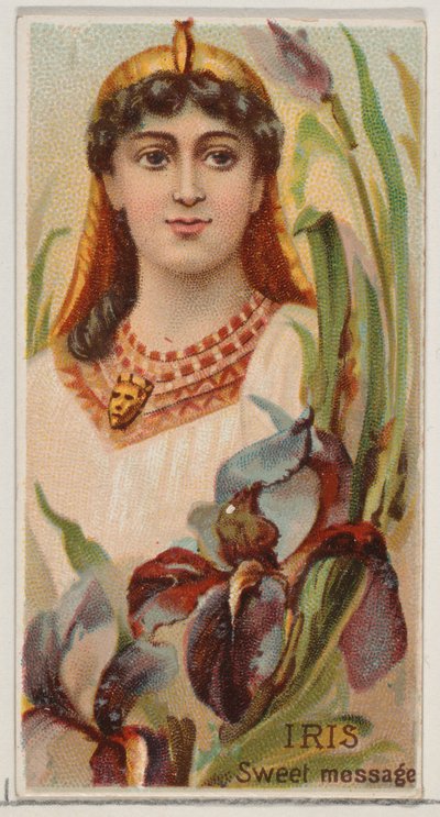 Iris: Süße Botschaft, aus der Serie Floral Beauties and Language of Flowers N75 für Duk..., 1892 von Donaldson Brothers