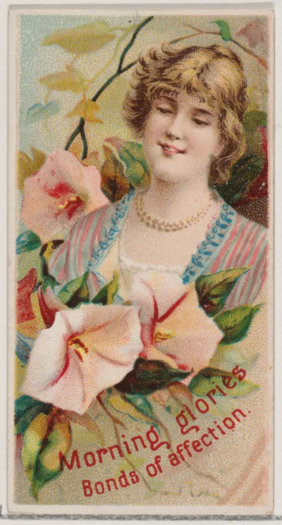 Prunkwinden: Bande der Zuneigung, aus der Serie Blumenpracht und Sprache der Blumen von Donaldson Brothers