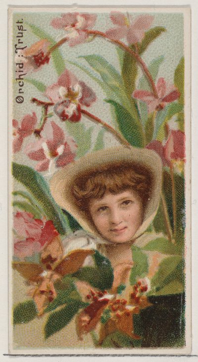 Orchidee: Vertrauen, aus der Serie Floral Beauties and Language of Flowers N75 für Duke, 1892 von Donaldson Brothers