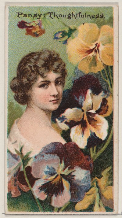 Stiefmütterchen: Nachdenklichkeit, aus der Serie Floral Beauties and Language of Flowers N75 für D..., 1892 von Donaldson Brothers