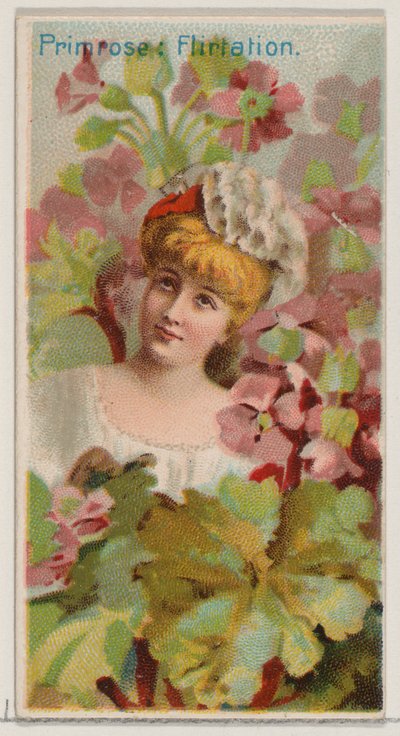 Primel: Flirtation, aus der Serie Floral Beauties and Language of Flowers N75 für Du..., 1892 von Donaldson Brothers