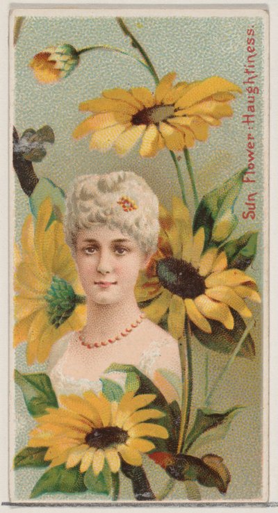 Sonnenblume: Hochmut, aus der Serie Blumenpracht und Blumensprache N75, 1892 von Donaldson Brothers