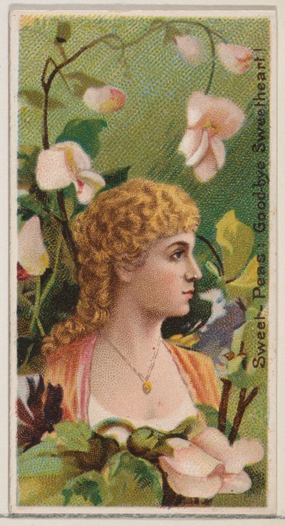 Wicken: Lebewohl, Liebling!, aus der Serie Blumenpracht und Blumensprache... von Donaldson Brothers