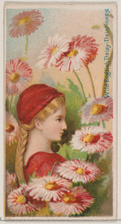Wilde englische Gänseblümchen: Zierlichkeit, aus der Serie Floral Beauties and Language of Flowers, 1892 von Donaldson Brothers