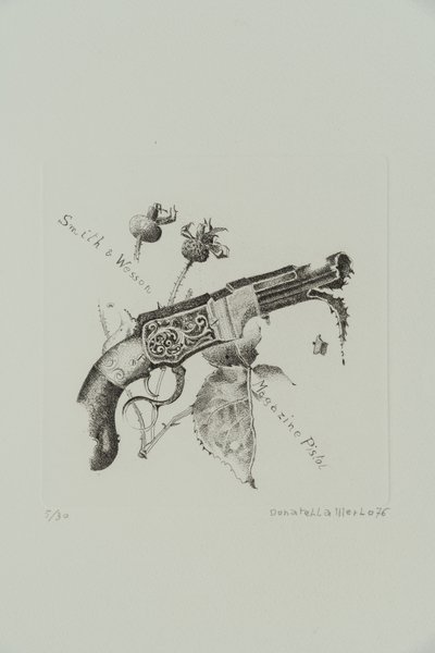 Smith und Wesson Magazinpistole von Donatella Merlo