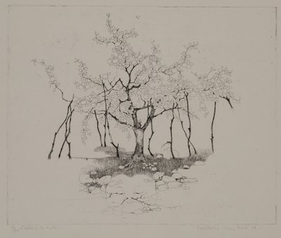 Der Apfelbaum von Donatella Merlo