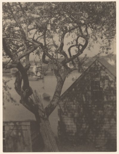 Hafenszene, wahrscheinlich Gloucester, Massachusetts von Doris Ulmann