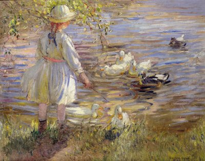  von Dorothea Sharp