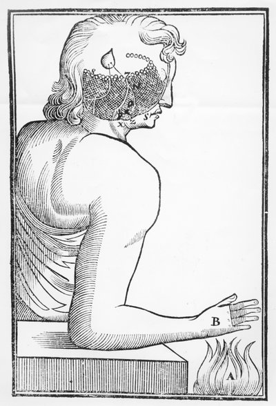 Illustration der Wirkungsweise und des Effekts der Zirbeldrüse auf das menschliche Nervensystem in Bezug auf eine Reaktion auf Feuer, aus Tractatus de Homine, veröffentlicht in Amsterdam von Elsevier, 1677 von Dutch School