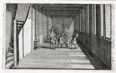 Bäume für den Sommer in den Garten bringen, aus De Nederlandze Hesperides von Jan Commelin, veröffentlicht 1676 von Dutch School
