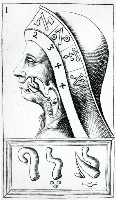 Halsbewegungen bei der Aussprache des hebräischen Alphabets, Illustration aus Alphabetum Natura (Alphabet der Natur) von F.M. van Helmont, 1667 von Dutch School