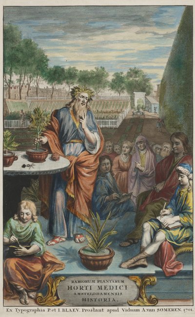 Titelseite aus "Horti Medici Amstelodamensis Rariorum Plantarum Historia" Bd. II, von Jan Commelin und Caspar Commelin von Dutch School