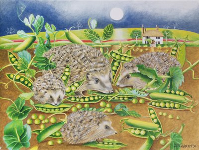 Igel mit Erbsen neben einem Mohnfeld bei Nacht, 1994 von E.B. Watts