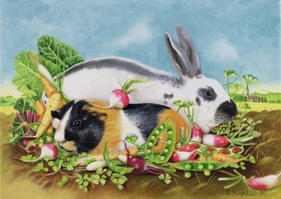 Kaninchen und Meerschweinchen, 1998 von E.B. Watts