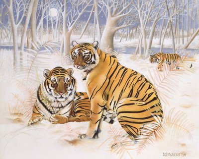 Tiger im Schnee, 2005 von E.B. Watts
