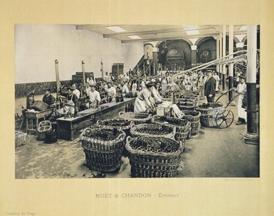 Champagnerabfüllung, aus La France Vinicole, veröffentlicht von Moet & Chandon, Epernay (Fotolitho) von E.M. Choque