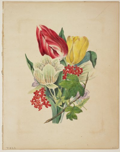 Tulpenstrauß, aus Floras Wörterbuch, 1838 von E. W. Wirt
