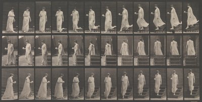 Tierlokomotion. Eine elektro-fotografische Untersuchung... der Tierbewegungen. Beginn... von Eadweard Muybridge