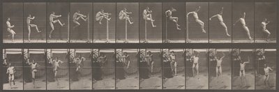 Tierbewegung. Eine elektro-fotografische Untersuchung aufeinanderfolgender Phasen von Tieren, 1880er Jahre von Eadweard Muybridge