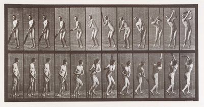 Tierlokomotion. Eine elektro-fotografische Untersuchung aufeinanderfolgender Phasen von Tier..., 1880er Jahre von Eadweard Muybridge