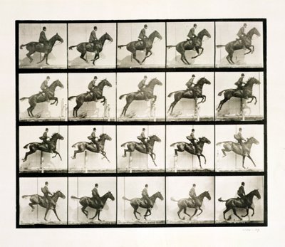 Mann und Pferd springen über einen Zaun, 1887 von Eadweard Muybridge
