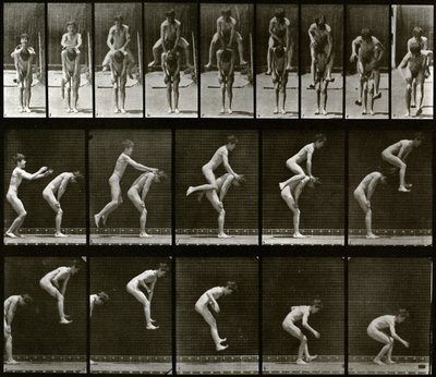  von Eadweard Muybridge