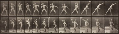 Tierlokomotion, Platte 319 von Eadweard Muybridge