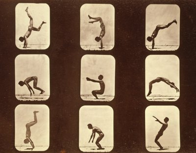 Athleten. Flip flap 