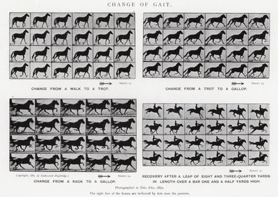 Gangwechsel von Eadweard Muybridge