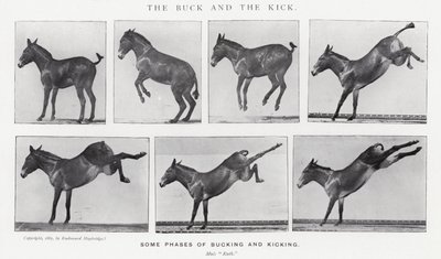 Der Bock und der Tritt von Eadweard Muybridge