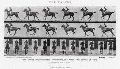 Der Kanter von Eadweard Muybridge