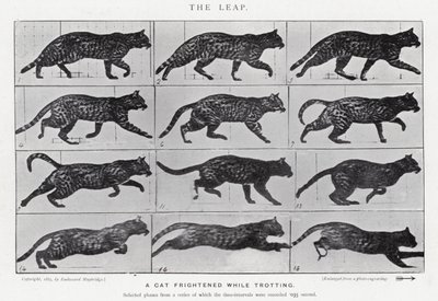 Eadweard Muybridge: Der Sprung (s/w Foto) von Eadweard Muybridge