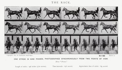 Der Galopp von Eadweard Muybridge